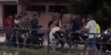 Jacaré aparece em área urbana do Rio, provoca correria e vídeo repercute nas redes sociais