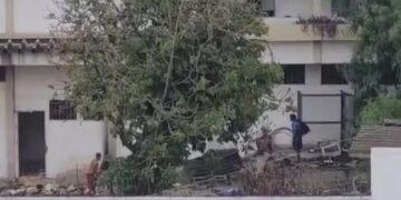 Moradores denunciam aumento da insegurança após prédio virar ponto de ocupação irregular em São Gonçalo.