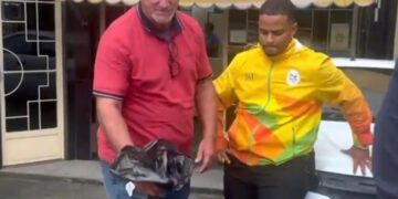 Suspeito é detido ao despachar anabolizantes ilegais em agência postal no Rio. Polícia investiga venda clandestina.