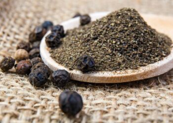 Cultivo de pimenta-do-reino destaca qualidade das mudas e manejo adequado para colheita ágil