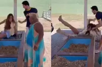 Nicole Bahls é surpreendida por vaca e cai em bebedouro durante visita de influenciadores