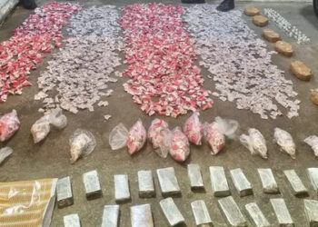Polícia Prende Homem com 10 Kg de Maconha e Variedade de Drogas em Rio Bonito