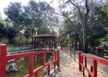 Samba no Horto: Evento Gratuito Promove Cultura e Convivência no Parque Palmir Silva