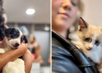 Multicenter Itaipu recebe feira de adoção de animais no sábado (29)