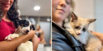 Multicenter Itaipu recebe feira de adoção de animais no sábado (29)